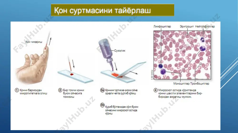 қон ва қон яратилиши - Page 5