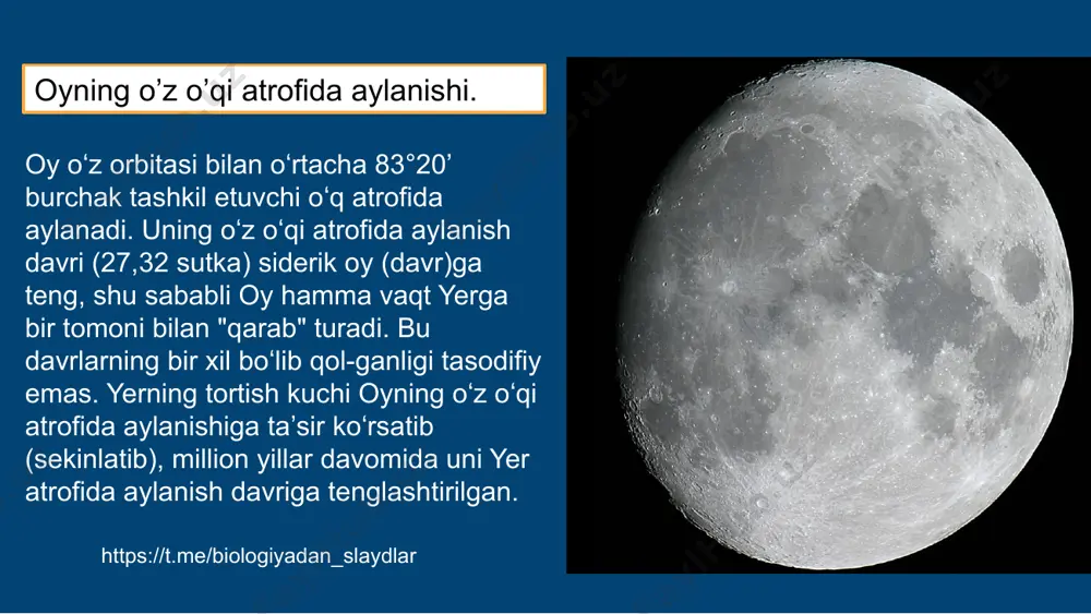 il 20-sentabrda "luna-16" stansiyasi oy tuprogʻini 35 sm chuqurlikkacha qazib, undan olingan namunalarni yerga olib keldi. oyning xaritasi o’rganilishi. https://t.me/biologiyadan_slaydlar yerga keltirilgan namunalar orasida ikki turli jinslarni uchratish mumkin: vulqon jinslari (lavalar) va meteoritlar tushganida maydalangan va erigan jinslar (shisha sinikdarini eslatuvchi jinslar — brekchiya). vulqon jinslarining asosiy massasi yerdagi bazaltlarga oʻxshaydi. ularda plagioklaz, piroksen, ilmenit, olivin, shpinel, sirkon, apatit, metalli temir va mis uchraydi. shuningdek, oydan keltirilgan namunalarda norit, anortozit, datsit va kaliy, fosforlar borligi aniklandi. oy tuprogʻida kremniy oksidi (sio2) 44% ga yaqinni, temir oksidi (gʻeo) — 19,5% ni, alyuminiy oksidi (a12o3) — 14% ni, titan oksidi (tio2) — 4% ga yaqinini tashkil etadi. jinslarning barcha turlari oy qaʼrida uzoq vaqt davom etgan erish jarayonida hosil boʻlgan. oy jinslari qator xossalari bilan yernikidan farq qiladi. ularda suv gʻoyat kam, natriy va uchuvchi elementlar esa juda oz miqdorda uchraydi, baʼzi namunalarda titan va temir juda koʻpoyning rang koʻrsatkichi +1,2. …