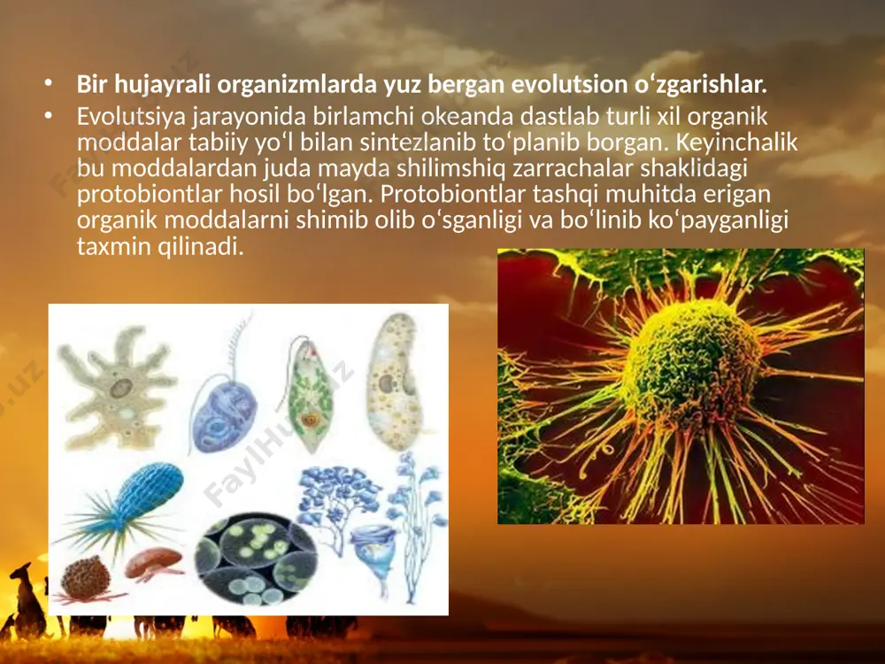hayvonot dunyosidagi evolutsion o‘zgarishlar. 11 - sinf - Page 4