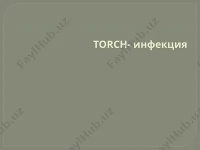 torch- инфекция — PPTX