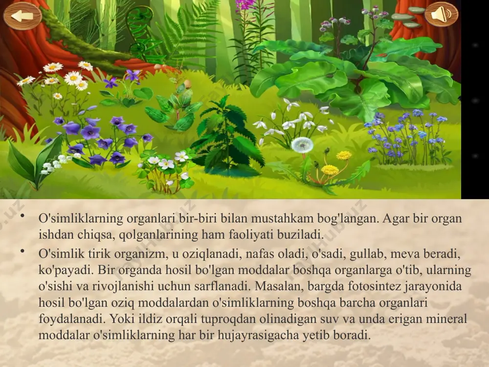 o'simlik - yaxlit organizm. 6 - sinf - Page 5