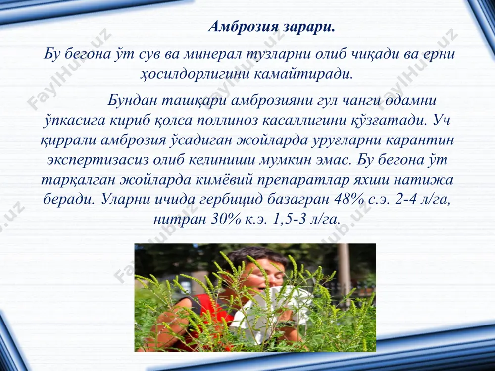 uzbekistonda tarqalgan ambruziyalar - Page 3