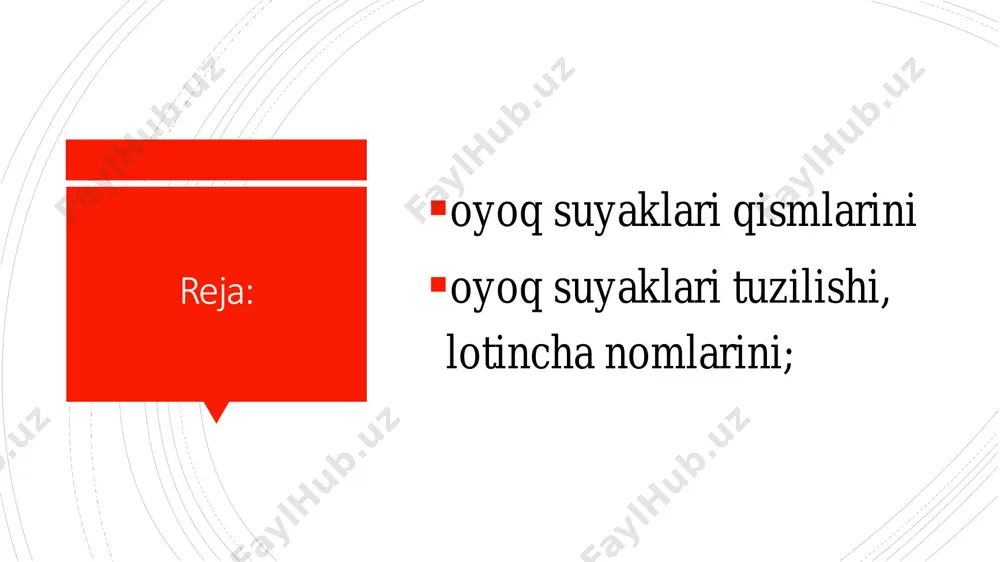 rtasida mushaklar birikadigan ikkita ko‘st bor. katta ko‘st yuqori va lateral joylashgan bo‘lib, uning medial yuzasida mushaklar birikadigan ko‘st chuqurchasi bor. kichik ko‘st suyak bo‘ynining pastki chekkasida orqaroqda va medialroq joylashgan. son suyagining pastki (distal) uchi kengayib, ikkita yumaloq do‘nglik hosil qiladi. medial do‘nglik lateralidan kattaroq. ular orqa tomonda o‘zaro do‘nglar orasidagi chuqurcha bilan ajrab turadi. do‘nglarning yon tomonida medial va lateral do‘ng usti do‘mboqchasi ko‘rinib turadi. do‘nglarning oldingi yuza lari o‘rtasida tizza qopqog‘i yuzasi bor.  tizza qopqog‘i (patella) sonning to‘rt boshli mushagi payining ichida joylashgan eng katta sesamasimon suyak. tizza qopqog‘ining asosi yuqoriga, cho‘qqisi pastga qaragan. uning orqa bo‘g‘im yuzasi son suyagi bilan bo‘g‘im hosil qiladi. oldingi g‘adirbudir yuzasi teri ostida seziladi.  boldir suyaklari ikkita uzun naysimon: medial tomonda joylash gan katta boldir va lateral tomondagi kichik boldir suyaklaridan tashkil topgan.  katta boldir suyagining (tibia)tanasi va ikki uchi tafovut qilinadi. uning yuqori (proksimal) uchi kengaygan bo‘lib, …