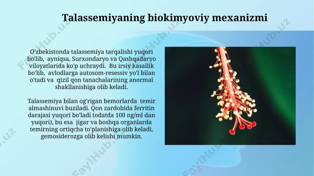 iga, ige va igd kabi turli xil immunoglobulinga boy bo'lgan limfotsitlar antigenlarni aniqlash va neytralizatsiya qilishda, shu bilan birga, xotira xujayralarini hosil qilishda muhim rol o'ynaydi va bu jarayonlarning biokimyoviy asoslari buyuk britaniyaning kembrij shahridagi laboratoriyalarda chuqur o'rganilgan. limfotsitlarning rivojlanishi va differentsiatsiyasi 3 bosqichda sodir bo'ladi: suyak ko'mig'ida b-limfotsitlar, timusda t-limfotsitlar va shuningdek, qon aylanish tizimida ikkalasi ham periferik to'qimalarda joylashadi. limfa retikulyar sistemaning kasalliklardagi biokimyoviy o'zgarishlari limfangitning biokimyoviy ko'rsatkichlarida, ayniqsa, pastki oyoq-qo'llarda, laktat degidrogenaza (ldh) va aspartat aminotransferaza (ast) fermentlari darajasi 2-3 marta yuqori bo'ladi, bu esa to'qimalarning shikastlanishi va yallig'lanish darajasini aks ettiradi. limfa tugunlarida yallig'lanish jarayonlari paytida, masalan, bakterial infektsiyalarda (staphylococcus aureus), sitokinlar (tnf-α, il-6) darajasi 5-10 baravar ortadi, bu esa o'tkir faza oqsillarining jigarda sintezini kuchaytiradi. limfa retikulyar sistemaning diagnostikasi va davolashda biokimyoviy markerlar limfa tugunlarida 50 dan ortiq cd20+ hujayralarning aniqlanishi, ayniqsa, 35 yoshdan oshgan ayollarda, b-hujayrali limfoma xavfini ko'rsatadi, bu esa biopsiya va keyingi …