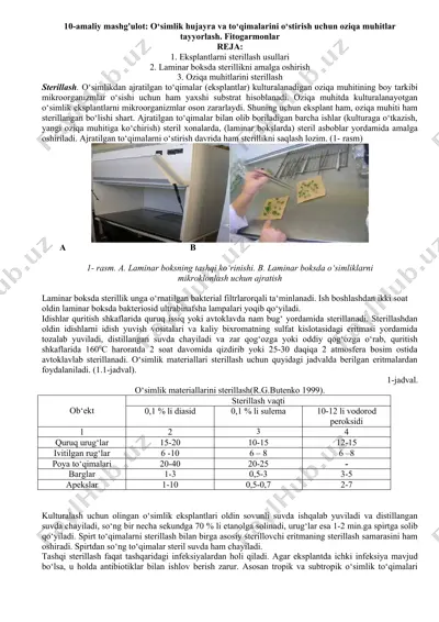 sterillash usullari — DOCX
