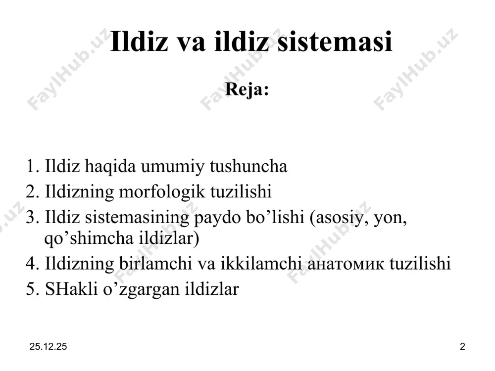 hadi va mikorizalarni hosil qiladi. * * 6) vegetativ ko’payish vazifalarini ham bajaradi * * * * 1) ildiz geotrop (+), ya’niy vertikal tarzda og’irlik salmog’i orqasida pastka qarab o’sadi; 2) keri (-) fototrop, yaniy tug’ri tushadigan oftob nurlaridan yoshiringan xolda o’sadi va 3) gidrotropli (+), yaniy tuproqdagi o’sishi suvga qaratilgan bo’ladi. ildizni poyadan ajratib turadigan yana bir nechta belgilar bor, ildizlarning rivojlanishi katta evolyutsion etishkanlik bo’lib, o’simliklar ildiz orqali ancha etilishib, tuproq orqali oziqlanishga va yuqoriga, quyoshga intilib o’sadigan katta poyalarga ega bo’ldi. * * * dastlabki o’simliklar riniofitlarning tanalari ildiz va poyalarga bo’linmagan, ularda faqat asosiy tana bo’lib, apikal meristema yordamida uzunasiga o’sgan va dixotom shoxlangan. shoxlarni bittasi vertikal o’sgan, ikkinchisi tuproqqa yopishib, undagi suv va meneral moddalarni shima boshlagan. bu o’simliklarning bo’ylari uncha katta bo’lmasdan suvda va suv yoqalarida o’sgan. ildizlarning keyingi evolyutsiyasi natijasida, bir xil shoxlari tuproqga chuqurroq kirib, ildizga asos solgan. paydo bo’lgan ildizlarning tanasida …