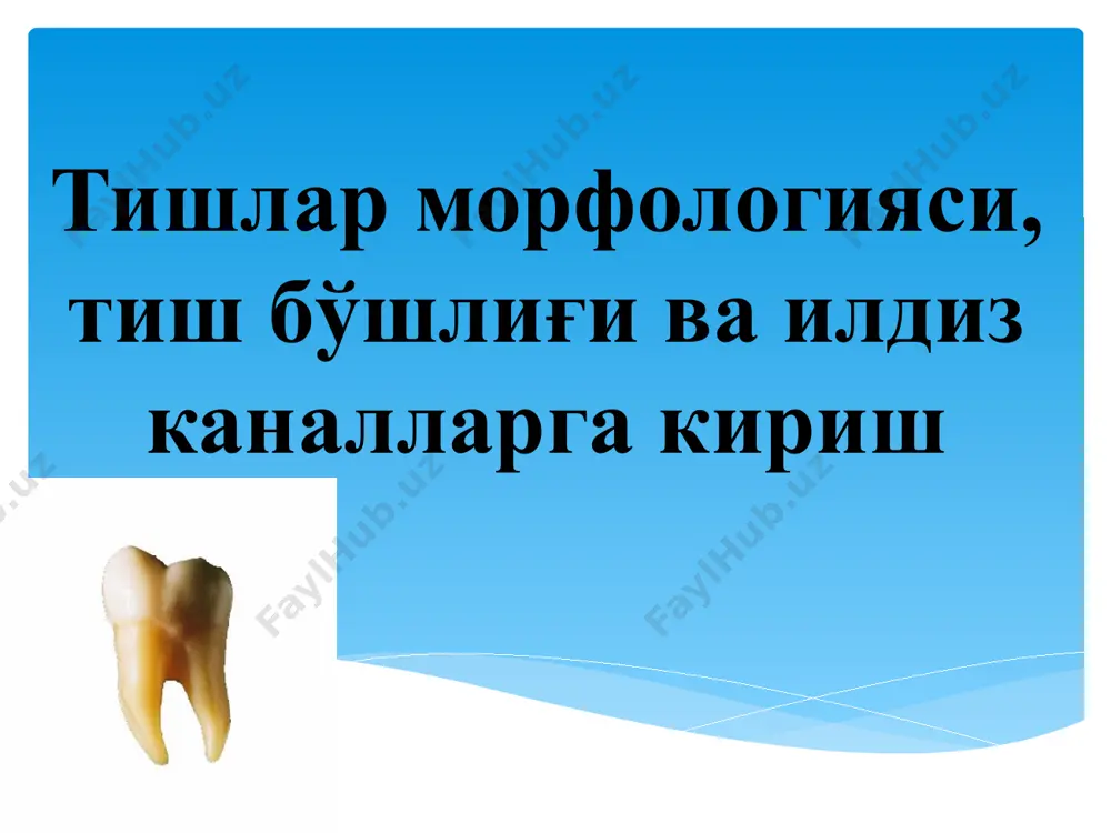 фатида якунланади. бундай тур пастки курак ва юқориги премолярлар учун хос. пульпа камераси тубидан якка канал ҳолида бошланиб, илдизнинг 1/3 қисмида иккига ажралиб, яна апикал соҳада ягона тизимга бирлашиб битта апикал тешик сифатида якунланади. бундай ҳолат ён гуруҳ тишларига хос. бир илдизли тишда иккита мустақил бир бирига боғлиқ бўлмаган ҳолатда бошланади ва апикал соҳада шу тарзда якунланади. бундай каналлар тизимига пастки катта ва кичик озиқ тишлари, ва курак тишлари эгадир. бир илдизли тишда фақат битта канал бўлиб, у апикал соҳада иккита каналчага ажралади.бундай ҳолат кўпинча пастки кичик озиқ тишларида кузатилади. бир илдизли тишда пульпа камерасининг тубида якка канал сифатида бошланади, сўнг иккига ажралиб, каналнинг ўрта қисмида ўзаро бирлашади ва апикал соҳада яна иккига ажралади. бундай шаклдаги каналга механик ва тиббий ишлов бериш мураккабдир. битта канал пульпа камераси тубида бошланади, сўнг каналнинг ўрта қисмида қум соати шаклида тораяди, сўнг иккига ажралиб яна бирлашада ва апикал тешик соҳасида иккига айрилиб тамомланади. бундай …