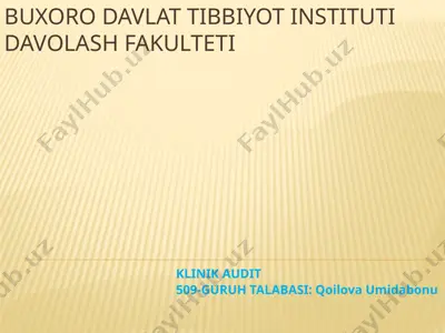 klinik audit — PPTX