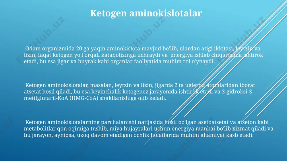 di. ornitin sikli deb ataluvchi urea siklining asosiy reaksiyalari mitoxondriyalar va sitoplazma ichida sodir bo'lib, 4 ta asosiy oraliq mahsulot hosil qiladi va bu jarayon energiya talab qiladi, taxminan 4 atp molekulasi sarf bo'ladi. aminokislotalar parchalanishidagi buzilishlar va kasalliklar o'zbekistonda o'tkazilgan tadqiqotlar shuni ko'rsatdiki, 25 yoshdan oshgan ayollarning 15 foizida fenilketonuriya geniga ega bo'lgan aminokislotalar parchalanishining buzilishi kuzatiladi, bu esa intellektual rivojlanishning kechikishiga olib kelishi mumkin. albinizm, aminokislotalar parchalanishining buzilishi bilan bog'liq bo'lgan genetik kasallik, terining va ko'zning pigmentatsiyasi yo'qolishiga olib keladi va jahon sog'liqni saqlash tashkiloti ma'lumotlariga ko'ra, dunyo bo'ylab 1 dan 20 000 gacha odamga ta'sir qiladi. maple siropi siydik kasalligi (msud) deb ataladigan irsiy metabolik kasallikda valin, leytsin va izolevtsin aminokislotalarining parchalanishi buziladi, bu esa miyada toksik birikmalarning to'planishiga va 1000 tug'ilishda 1 holatda jiddiy asoratlarga olib keladi. karbamoyl fosfat sintezining ahamiyati ushbu fermentativ reaksiya, ortiqcha azotni, xususan, 100 grammdan ortiq protein iste'mol qilinganda, organizmdan xavfsiz chiqarishda …