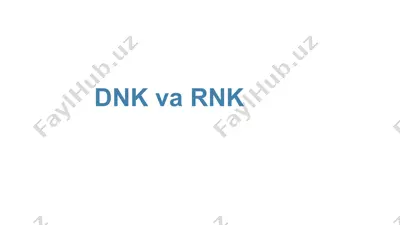dnk va rnk — PPTX