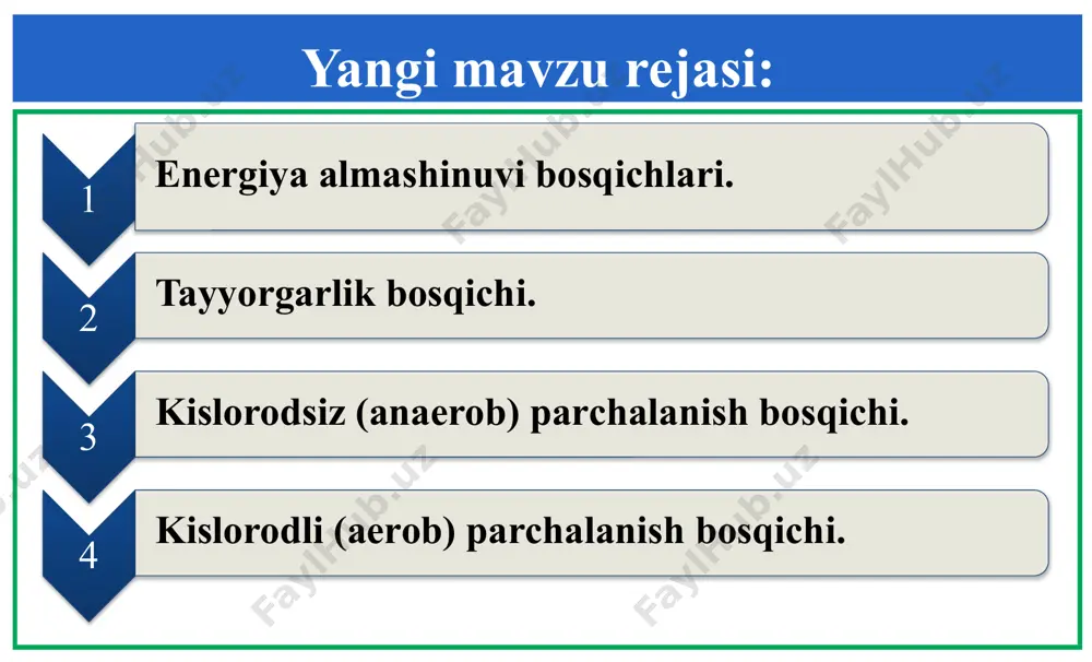 energiya almashinuvi bosqichlari - Page 3
