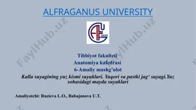 kallasuyagining yuz kismi suyaklari — PPTX