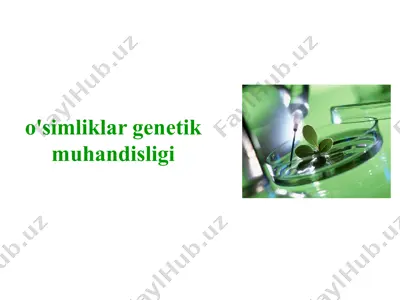 o'simliklar genetik muhandisligi — PPTX