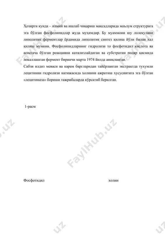 низмларда кенг тарқалган. аввало бу фермент ўсимликлардаги суюлтирилган формаси мембранали фосфолипаза d нинг сомобилизирланган формасидир. микроорганизмларда бу ферментнинг 2 формаси – мембрана боғловчи ва секретлайдиган формаси мавжуд. секретлайдиган формаси ўз хоссалари бўйича ўсимлик ва ҳайвонот объектларидаги фосфолипаза d ферменти хоссаларида фарқланади. ўрта осиё шолғомидаги фосфолипаза d ферментини ажратиш, экстракциялаш учун эритмаларни тайёрлаш реактивлар ишнинг бориши. ўрта осиё шолғомидаги фосфолипаза d ферментини экстракциялаш учун 0,05 м бура эритмаси ва 0,2 м бор кислота эритмасидан ташкил топган боратли буфер тайёрлашимиз керак. 1 литр боратли буфер тайёрлаш учун: 350 мл 0,05 м nab4o7 x 10 h2o эритмаси ва 650 мл 0,2 м h3bo3 эритмаси керак бўлади. тайёр боратли буферни рн ни бор кислота ёрдамидп (h3bo3) 8,2 гача етказилади. фосфолипаза d ажратиб олиш учун хом ашё тайёрлаш реактивлар: 10% анжомлар: қиргич (майдалагич), гомогенизатор экстракт учун иссиққ чидамли идиш. ашёлар: ўрта осиё шолғоми. технологик схема. хомашё → гомогенизация → тиндириш → фильтрлаш → экстракт → …