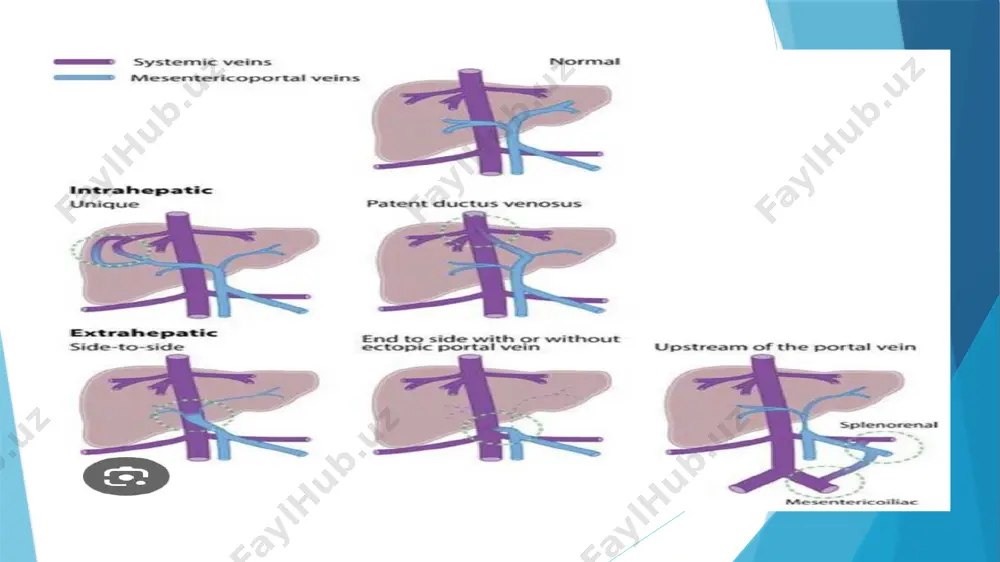 operativ xirurgiya va topografik anatomiya - Page 3