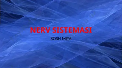 nerv sistema bosh miya — PPTX