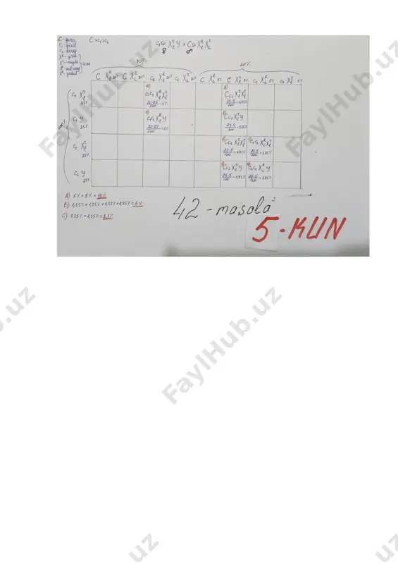 miqdori nerv sistemasida, 50 % miqdori muskul to’qimasida parchalandi. 5% miqdori jigarda glikogen sinteziga, 10 % miqdori hujayralarda assimilatsiyaga sarflandi qolgan qismi qonda saqlanib qoldi. nerv sistemasida glukozaning 1/2 to’la, muskullarda 2/5 qismi chala parchalandi natijada nerv sistemasidan xosil bo’gan issiqlik energiyasi va muskullarda xosil bo’lgan atf energiyasi farqi 8040 kj bo’lsa, topshiriqni bajarish tartibi: 1) masala yechimini to'liq yozing! berilgan ma’lumotlardan foydalanib quyidagi (a-c) topshiriqlarni bajaring. a) qonda ortib qolgan glukoza molini toping. b) muskul hujayrasining sitoplazmasida qancha issiqlik energiyasi (kj) ajralgan? c) umumiy aerob sharoitda xosil bo'lgan atf lar soni nechta? diqqat! mazkur topshiriq kengaytirilgan javobni talab etib, uning yechilish uslubi va barcha arifmetik hisob-kitob amallarini javoblar varaqasida to‘liq aks ettirish talab etiladi.
