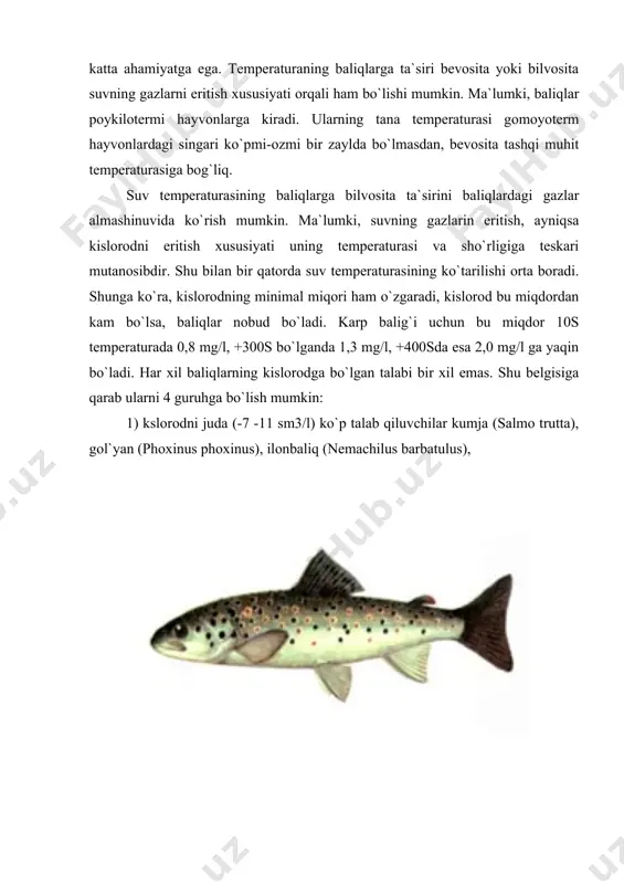 voq baliq (rutilus rutilus), olabug`a (perca fluviatilis), ersh (acerina cernua); oq shoboq suv havzalarining muzlashi baliqlar hayotida katta ahamiyatga ega. chunki muz qoplami suvning ostki qatlamlarini ma`lum darajada havoning sovuq temperaturasidan himoya qilib, suv tubigacha muzlashiga to`sqinliq (faqat ba`zi vaqtlarda sayoz joylar tubigacha muzlaydi). bu holat baliqlar qishda havo temperaturasi nihoyatda past bo`lgan oblastlarga ham tarqalishiga imkon beradi. muz qatlamining ijobiy ahamiyati anna shunda. muz qatlami baliqlar hayotida salbiy rol` ham o`ynaydi. u soyalob qo`yib, baliqlar oziqlanishida bevosita yoki bilvosita ahamiyatga ega bo`lgan organizmlar faoliyatini yo sekinlashtiradi yoki butunlay to`xtatadi. bu birinchi navbatda yashil suvo`tlarga va yuqori o`simliklarga tegishlidir. muz qatlami suvning havo kislorodi bilan to`yinishini keskin kamaytiradi. ko`p suv havzalarida qishda chirish jarayonlari natijasida suvda erigan kislorod to`liq sarf bo`ladi. bu vaqtda suv havzasida o`lat (zamor) deb ataluvchi holat paydo bo`ladi. masalan, ob` havzasida shunday holat kuzatilgan. bu daryolarin suv bilan ta`minlovchi botqoqliklar gumin kislotaga va temir (ii) oksidga …