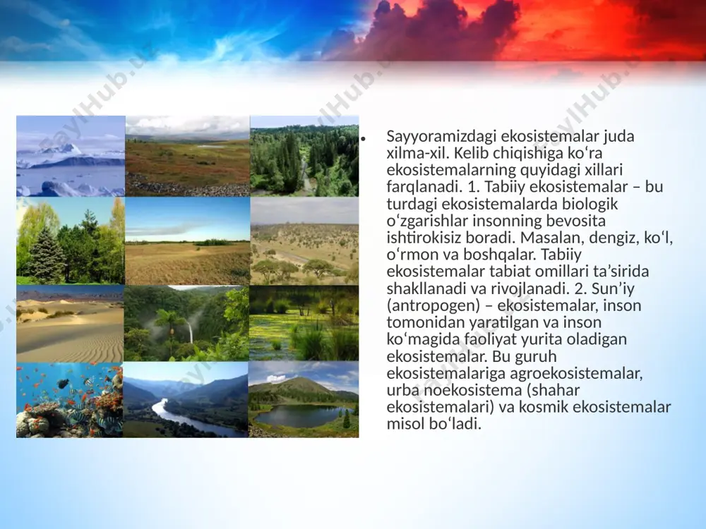 rmonlari. iqlim yil davomida o‘zgarib turadi, qishki harorat 0°c dan past. yirik bargli daraxtlar (buk, lipa, eman, zarang, shumtol), butalar va o‘tlar o‘sadi. hayvonot orasida sutemizuvchilar (los, ayiq, silovsin, tulki, bo‘ri), qushlar (qizilishton, boyqush, qorayaloq, lochinlar) asosiy o‘rinni egallaydi. dashtlarning iqlimi fasllar davomida o‘zgarib turadi, qish harorati 0°c dan past. asosan o‘tlar, qisman buta va daraxtlar o‘sadi. hayvonlar orasida tuyoqli hayvonlardan bizon, antilopa, sayg‘oq, kenguru, jirafa, zebra, oq nosoroglar; mayda sutemizuvchilardan quyonlar, yumronqoziqlar, sichqonlar; yirtqichlardan bo‘ri, sher, qoplon, gepard, giyena itlari hamda turli qushlar uchraydi. o‘tloqlar – o‘simliklari asosan o‘tlardan iborat ekosistemalar. bu ekosistemada o‘suvchi o‘simliklar yetarli darajada namlikni talab qiladi. o‘tloqlar namlik yetarli darajada bo‘lgan hududlar: pasttekisliklar, daryo qirg‘og‘idagi yerlarni o‘z ichiga oladi. bundan tashqari tog‘ o‘tloqlari – alp o‘tloqlari, yaylovlar mavjud. sahrolar iqlimi juda quruq, kunlari issiq, tunlari esa sovuq ekosistemalardir. ular yog‘ingarchilik miqdorining kamligi, harorat va yoritilganlik darajasining yuqoriligi bilan xarakterlanadi. kserofitlar o‘t o‘simliklar, qisman butalar, efemerlar …