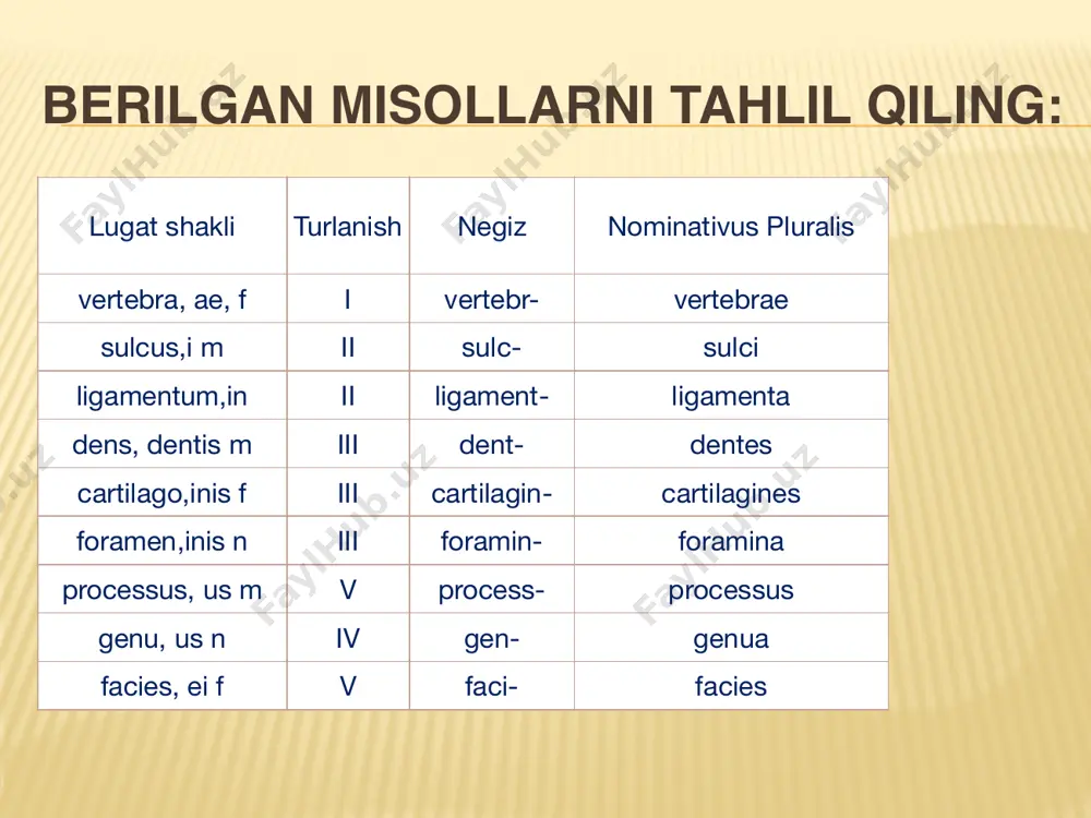 negiz bitta yoki ikkita undosh bilan tugallansa, • masalan: radix, icis, f - radic -um • pars, partis, f -part-ium • b) es, is bilan tugagan teng yoki noteng bo‘g‘inli otlar, • masalan: paries, etis, m - pariet-um • pyramis, idis, f -pyramid-um • auris, is,f -auri-um • d) e, al, ar bilan tugasa, rete, is, n -reti-um • 2. sifatlarning gen. plur.ni yasashda quyidagilarni esda tutish kerak: • a) ii guruh sifatlari -ium, -ia • brevis, e — brev -ium • simplex, icis - simplic -ium • b) qiyosiy darajadagi sifatlarning -um qo'shimchasi -ior negiziga qo‘shiladi: • anterior, ius - anterioris - anterior - negiz • gen plur. - anteriorum e’tiboringiz uchun rahmat!!!