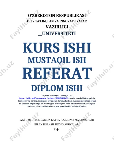 axborot tizimlari — DOC