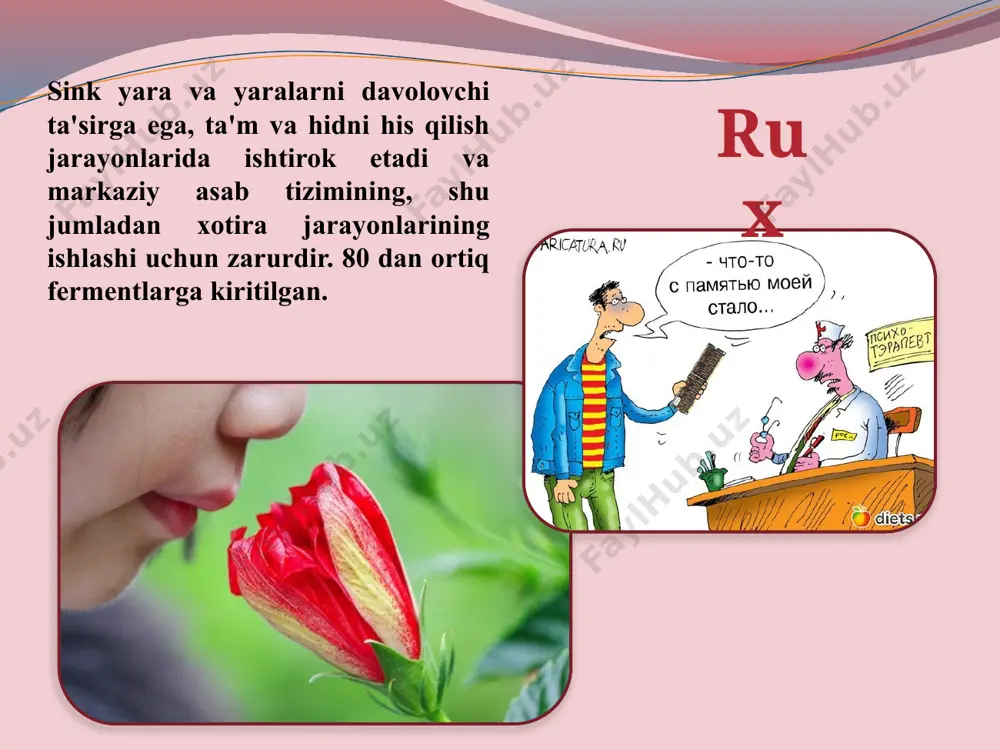 ushi, atirgul, pishloq, shokolad, bug'doy kepagi, bug'doy urug'i, yong'oq, o'tlar, qo'ziqorinlar, dukkaklilar, grechka, qulupnay, bektoshi uzumlari, go'sht, midiya. f choy, dengiz baliqlari, seld, skumbriya, qizil ikra va ftorli suvda pishirilgan har qanday taom. i dengiz baliqlari, baliq yog'i, dengiz o'tlari, shuningdek, sut mahsulotlari, grechka, tariq, kartoshka, yangi sabzavotlar va mevalar. mg kelp, bug'doy kepagi, qovoq urug'i, kungaboqar, tahini halvasi, bodom, tarvuz, qora shokolad, kakao. o'zaro ta'sir printsipi makro va mikroelementlar o'rtasida "nizo" mavjud, ya'ni bir elementning ortiqcha bo'lishi boshqalarning etishmasligiga olib keladi. element miqdori ortsa kamchilikka olib keladi hg se as se cd se, zn pb ca, mg, zn, se ca p, zn fe cu, zn mn cu, mg mo cu zn fe, cu cu mo, zn inson tanasida kimyoviy elementlarning etishmasligi belgilari ca mg fe mn cr zn qandli diabet belgilari terining shikastlanishi, o'sishning kechikishi skelet o'sishining sekinlashishi anemiya, immunitet tizimining buzilishi bepushtlik mushak kramplari image2.jpeg image3.jpeg image4.jpeg image5.jpeg …