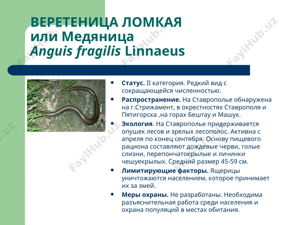 растения и животные красной книги - Page 5