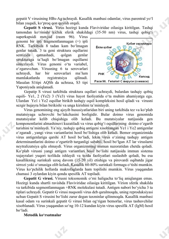 ya bo‘lishiga olib kelishi mumkin. gepatit d (delta) virusi. delta virus bir ipli halqasimon rnk saqlovchi virus bo‘lib togaviridae oilasiga va deltavirus avlodiga kiradi. uni faqat gepatit v bilan kasallangan bemorlardan ajratib olinadi. delta virusni ko‘payishi uchun albatta gepatit v virusi bo‘lishi shart, agar gepatit v virusi (xamkor) bo‘lmasa bu virus ko‘paya olmaydi. virion sferik shakilda 35-37 nm. virusning superkapsidida oz miqdorda gepatit v virusining hbs-ag uchraydi. kasallik manbasi odamlar, virus parentral yo‘l bilan yuqadi, ko‘proq qon quyish orqali. gepatit s virusi. virus hozirgi kunda flaviviridae oilasiga kiritilgan. tashqi tamondan ko‘rinishi kichik sferik shakildagi (35-50 nm) virus, tashqi qobig‘i superkapsidi movjud (rasm 96). virus genomi bir ipli fragmentlanmagan (+) ipli rnk. tarkibida 8 tadan kam bo‘lmagan genlar tutadi. 3 ta geni struktura oqsllarini sentizida qatnashadi, qolgan genlar strukturaga ta’luqli bo‘lmagan oqsillarni sintezlaydi. virus genomi o‘ta variabel, o‘zgaruvchan. virusning 6 ta serovarlari uchraydi, har bir serovarlari ma’lum mamlakatlarda registratsiya qilinadi. masalan …