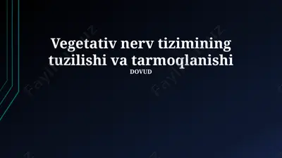 vegetativ nerv tizimining tuzilishi va tarmoqlanishi — PPTX