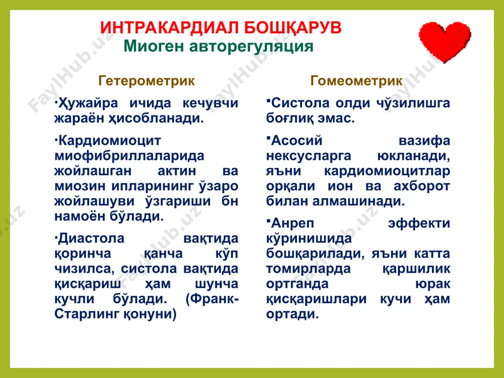 физиология - Page 5