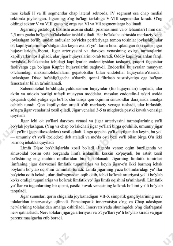 ional anatomiyasiga mos kelmaydi, bundan vizualizatsiya usullari natljalariga baho berishda, hamda xirurgik operatsiyalar o'tkazishda foydalaniladi, uning negizini darvoza venasi, xususiy jigar arteriyasi va o't yo'llarining tarmoqlanishi printsipi tashkil qilinadi, ular qon ta'minotini va jigarning bir-biriga nisbatan uzoqlashgan sohalaridan qon oqib kelishini ta'minlab turadi. chunonchi, darvoza venasi o'ng va chap tarmoqlarga bo' linib, tegishli jigarning o'ng va chap bo'lagini oziqlantiradi. bo'laklar o'rtasidagi chegara qiya chiziq botylab pastki kovak venasidan o't qopchasi o'rnigacha va keyin jigar darvozasigaeha boradi, darvoza venasining har ikki tarmog'i, o'z navbatida, yana ikkita tarmoqqa bo'linib sektorlar nomini olgan sohalarni qon bilan ta'minlaydi, ong bo'lakda — oldingi va orqa, chap bo'lakda — medial va lateral sektorlar farqlanadi. sektorlar segmentlarga bo'linadi, ular raqamlar bilan belgilanadi. chap bo'lakni i-iv segmentlar hosil qiladi, bunda i segment jigarning dumsimon bo'lagiga mos keladi il va ill segmentlar chap lateral sektorda, iv segment esa chap medial sektorda joylashgan. jigarning o'ng bo'lagi tarkibiga v-viii segmentlar kiradi. …