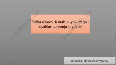 yelka, o‘mrov, kurak va qo‘l suyaklari anatomiyasi — PPTX