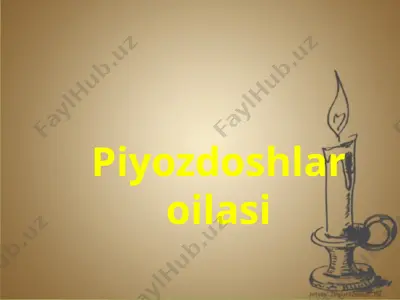 piyozdoshlar oilasi 2 — PPTX