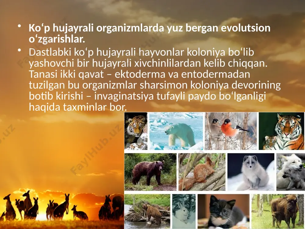 hayvonot dunyosidagi evolutsion o‘zgarishlar. 11 - sinf - Page 5