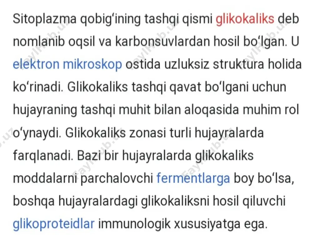 plazmatik membrana (plazmolemma, sitolemma) - Page 4