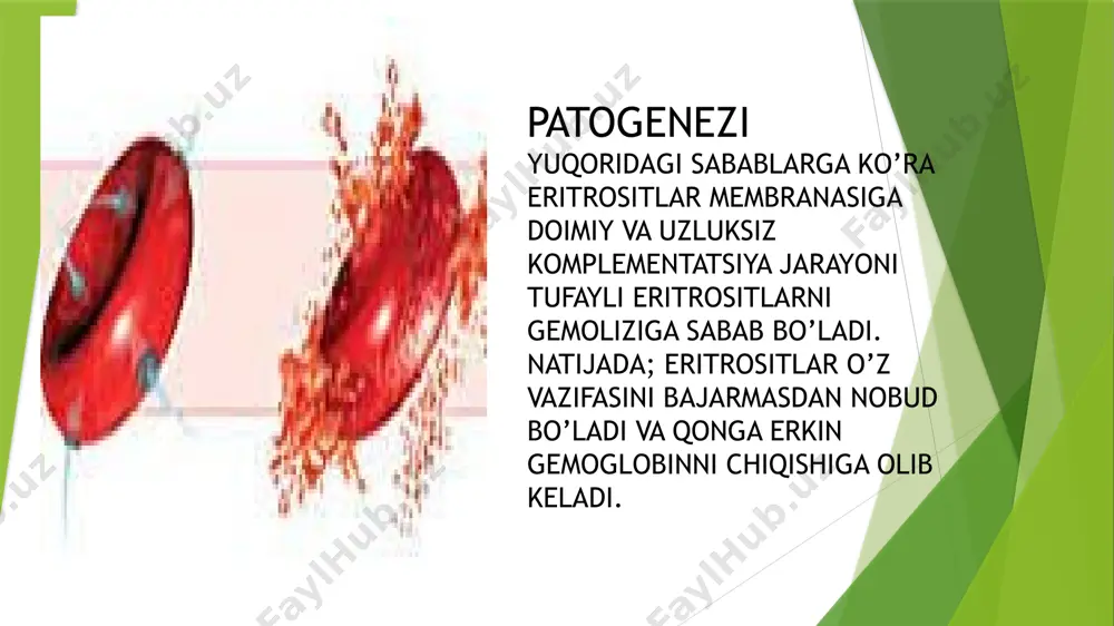 paroksizmal tungi gemoglobinuriya - Page 5
