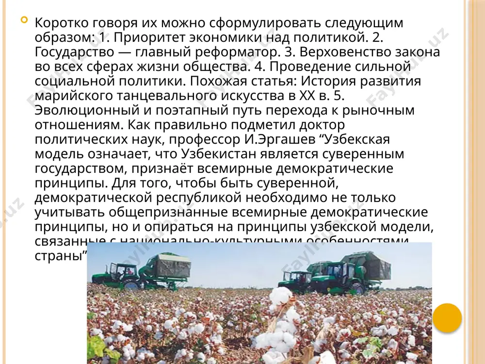 узбекская модель развития - Page 5