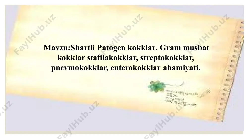 vchinsiz, harakatsiz, kapsula va spora hosil qilm aydi, gram usulida musbat bo'yaladi. asosan patogen turlari nozik kapsulaga ega o‘sishi. stafilokokklar nafas olishiga ko‘ra fakultativ anaerob, ular oziq muhitlarga talabchan emas. ph 7,2-7,4 va 37°c harorat ularning o ‘sishi uchun qulay sharoit, lekin 10°c dan 45°c gacha boigan haroratda ham o ‘sishi mumkin. g o‘sht-peptonli bulonda (gpb) bir xil quyqa hosil qilib ko'payadi. stafilokokklar go‘sht-peptonli agarda (gpa) dumaloq, chetlari tekis, diametri 1-4 mm bo’lgan yaltiroq s-shakldagi koloniyalar hosil qiladi uy sharoitida yetarli yorug’lik va havo bo’lgan xonada stafilokokklar oq, ba’zan tillarang yoki limonga o'xshash sariq lipoxromlardan iborat bolgan pigmentlar hosil qiladi. ular sutli va kartoshkali agarda 20-25°s da tez hosil bo'ladi. bu moddalar suvda erimaydi, ammo spirt va organik erituvchilarda eriydi. koloniyalar rangi ular tarkibidagi pigmentlarga bog'liq. stafilokokklar asosan, s-, ba’zan r-, g - va l - shaklidagi koloniyalarni ham hosil qilishi mumkin. patogen stafilokokklar qonli agarda eritrotsitlarni gemoliz qilish xususiyatiga …