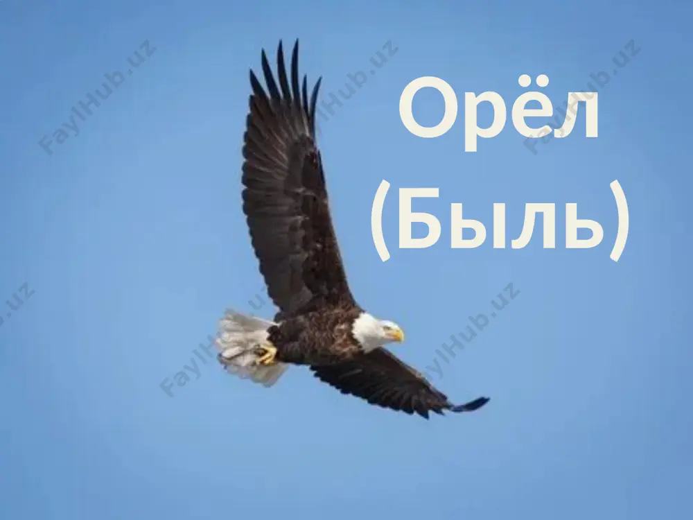 орёл (быль) - Page 5