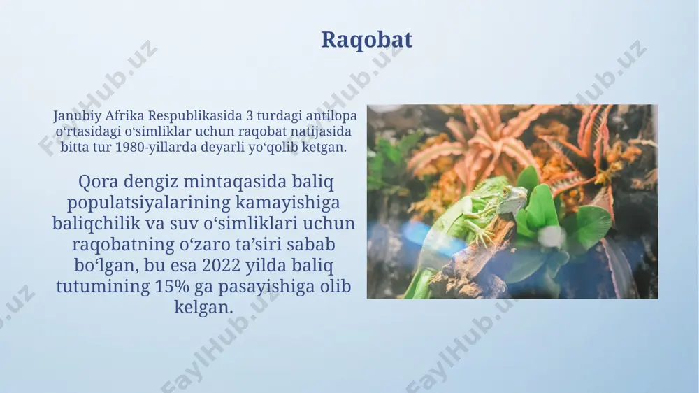 biotik faktorlar - Page 5