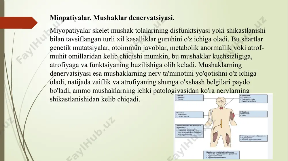 ga xos xususiyatga ega emas va skelet mushaklari shikastlanishi yoki buyrak funktsiyasining buzilishida ham ko'tarilishi mumkin. mi ning kech tashxisida uning foydasi troponin bilan solishtirganda cheklangan. laktat dehidrogenaza (ldh): ldh mida ko'tarilishi mumkin bo'lgan to'qimalar shikastlanishining o'ziga xos bo'lmagan belgisidir. ldh darajasi odatda semptomlar boshlanganidan keyin 12-24 soat ichida ko'tariladi, 48-72 soat ichida eng yuqori darajaga etadi va bir necha kundan bir necha haftagacha asta-sekin dastlabki holatga qaytadi. biroq, ldh mi ni erta tashxislash uchun zarur bo'lgan sezuvchanlik va o'ziga xoslikka ega emas va birinchi navbatda prognostik baholash uchun boshqa biomarkerlar bilan birgalikda qo'llaniladi. klinik ta'siri: mi ni erta va to'g'ri tashxislash reperfuzion terapiya va ikkilamchi profilaktika choralari kabi tegishli davolash strategiyalarini o'z vaqtida boshlash uchun juda muhimdir. yuqori sezuvchanlik troponin tahlillari hatto kichik miyokard shikastlanishini aniqlashga imkon berib, mi ning erta tashxisida inqilob qildi. biroq, klinik mulohazalar va bir nechta biomarkerlarning integratsiyasi, ayniqsa, troponin darajalariga boshqa omillar ta'sir qilishi …