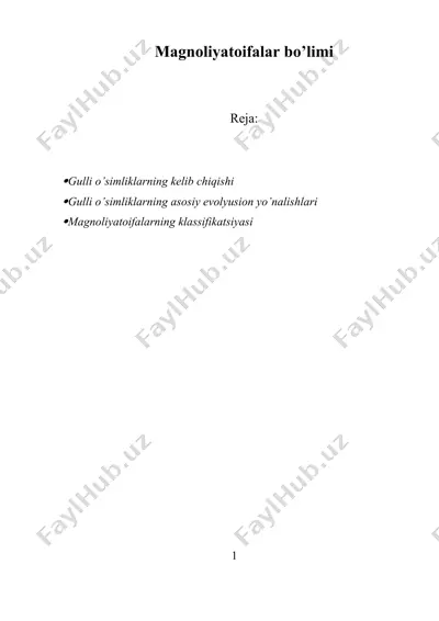 magnoliyatoifalar bo’limi — DOCX