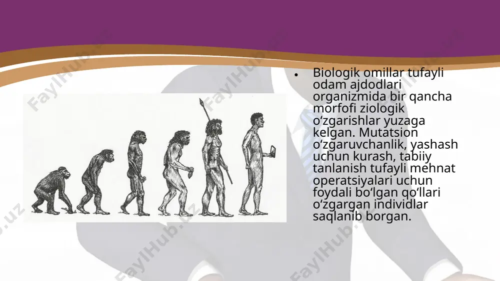 odam evolutsiyasini harakatlantiruvchi kuchlari. 10 - sinf - Page 4