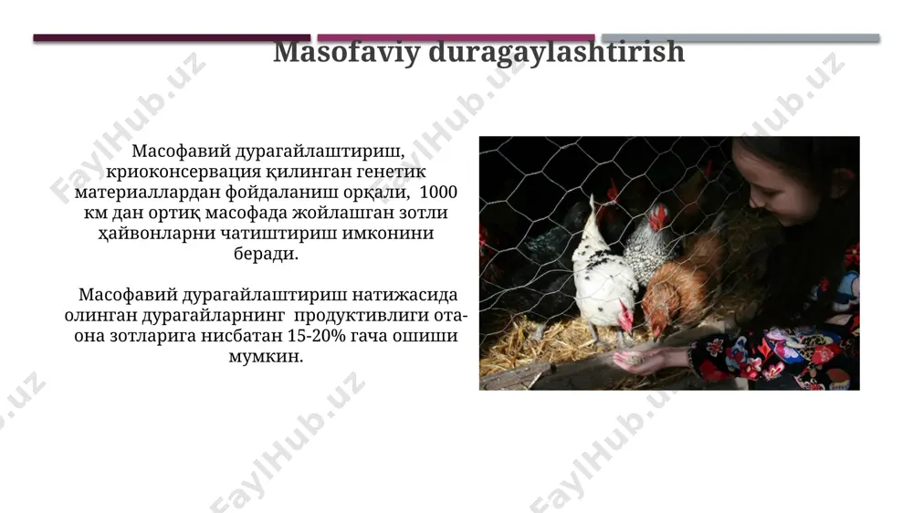 chorvachilikda duragaylash tiplari va seleksion materiallar - Page 5
