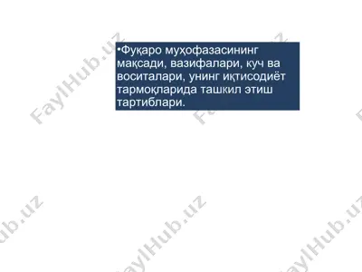 fuqaro muhofazasi — PPT