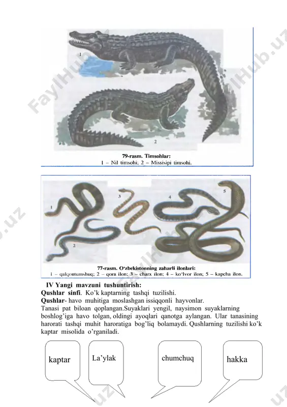 ayevna sudralib yuruvchilar sinfi. toshbaqalar timsohlar tangachalilar image3.png image4.png image5.png image6.png image1.png image2.png
