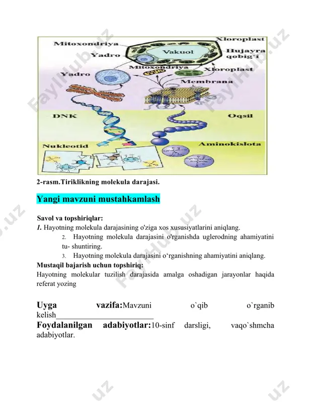 iq: hayotning molekular tuzilish darajasida amalga oshadigan jarayonlar haqida referat yozing uyga vazifa:mavzuni o`qib o`rganib kelish________________________ foydalanilgan adabiyotlar:10-sinf darsligi, vaqo`shmcha adabiyotlar.
