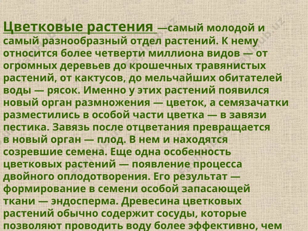 botanika bo'yicha ish - Page 3