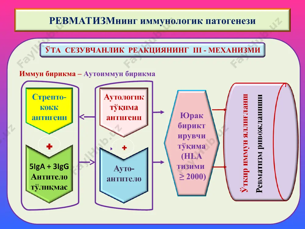 ревматизм - Page 4