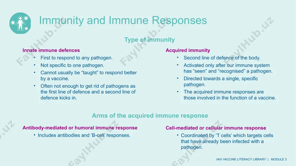 the immune system: humoral and cell-mediated immunity - Page 3
